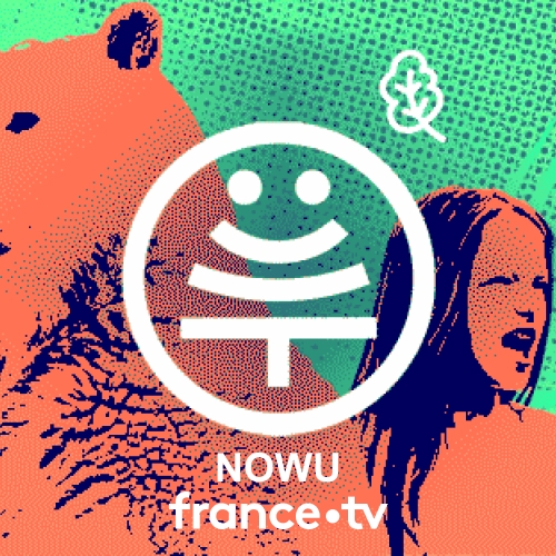 Nowu france tv